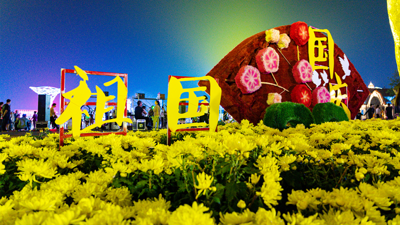 啤酒城、北茶商街“雙節(jié)”活動活躍節(jié)日經(jīng)濟(圖1)