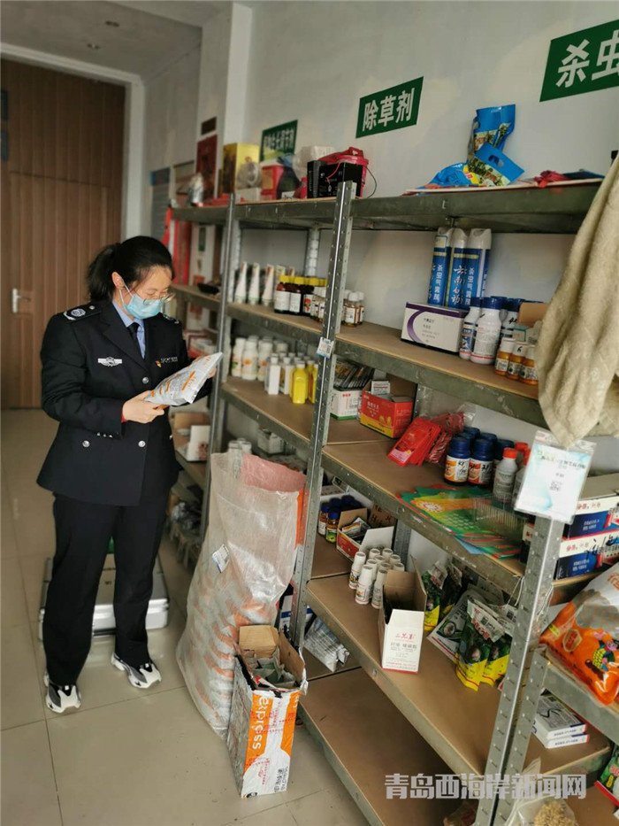 圖為西海岸新區(qū)農(nóng)業(yè)綜合行政執(zhí)法大隊(duì)執(zhí)法隊(duì)員在查看玉米種子包裝。.jpg